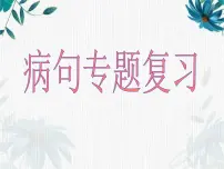 高考语文复习病句专题 优质课件