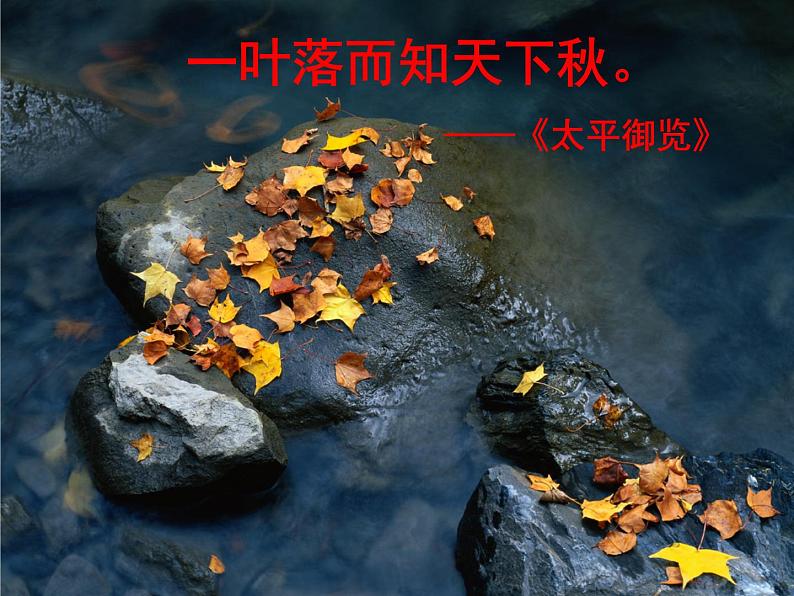 高中语文 北师大课标版 必修4 《故都的秋》课件04