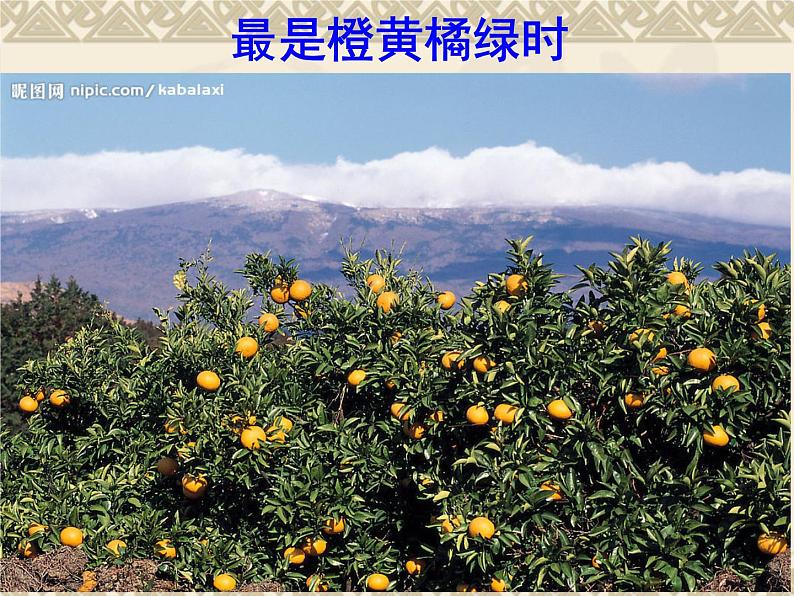 高中语文 北师大课标版 必修4 《故都的秋》课件08