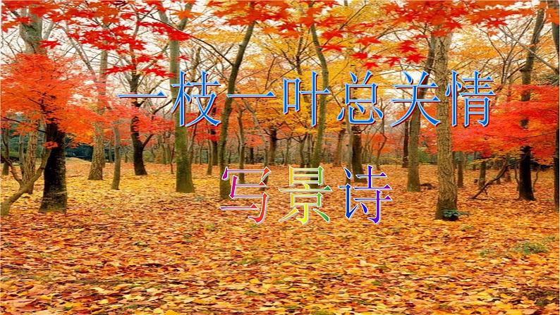 高考语文复习----诗歌鉴赏第5讲 把握情感(46张) (1)课件PPT第8页