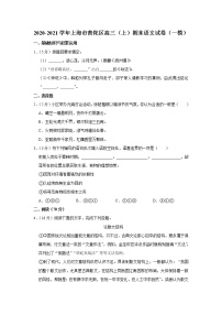 2020-2021学年上海市普陀区高三（上）期末语文试卷（一模）