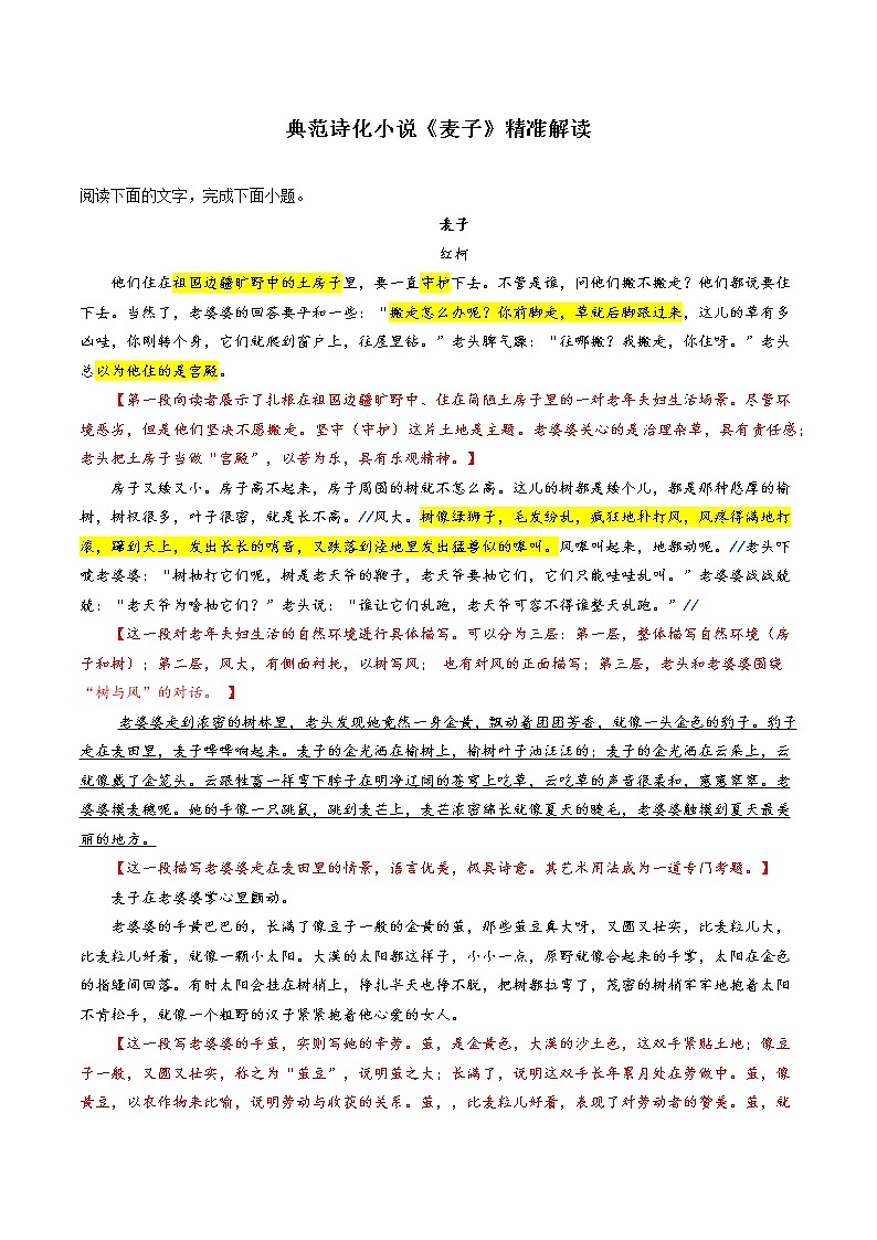 专题05典范诗化小说《麦子》精准解读-2022高考语文小说阅读热点题材详解与特训第1页