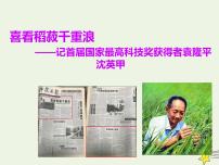 高中语文人教统编版必修 上册第二单元4 (喜看稻菽千重浪――记首届国家最高科技奖获得者袁隆平 *心有一团火,温暖众人心 *“探界者”钟扬)4.1 喜看稻菽千重浪――记首届国家最高科技奖获得者袁隆平评课