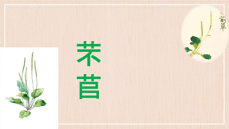 《芣苢》&《插秧歌》课件第1页