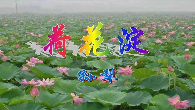 8.1《荷花淀》课件20张2021-2022学年统编版高中语文选择性必修中册01