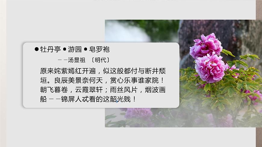 部編版高中語(yǔ)文必修下冊(cè)《游園》PPT課件第2頁(yè)
