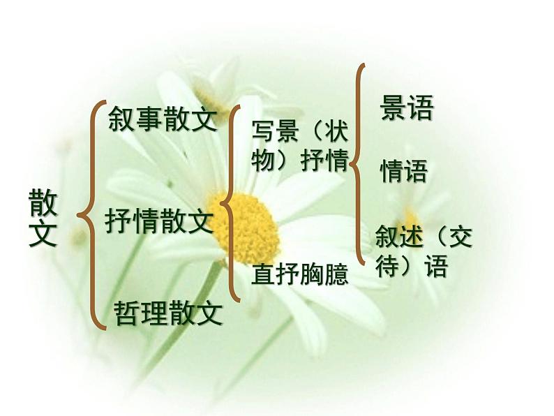 2023届高考专题复习:散文阅读方法指导 课件34张第4页