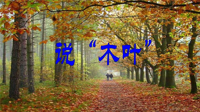 《说“木叶”》课件2021-2022学年统编版高中语文必修下册 (6)第1页