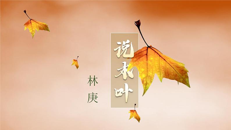 《说“木叶”》课件2021-2022学年统编版高中语文必修下册 (9)02