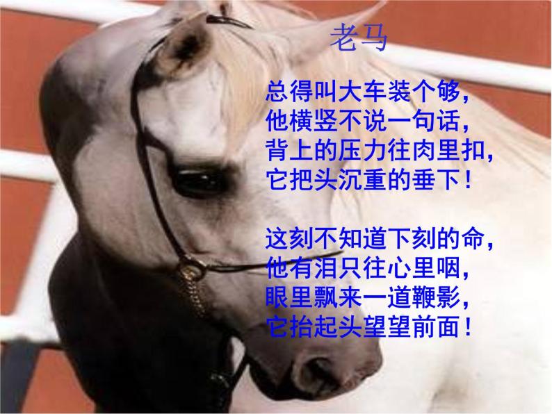 人教版高中语文选修--中国现代诗歌散文欣赏《老马》课件07