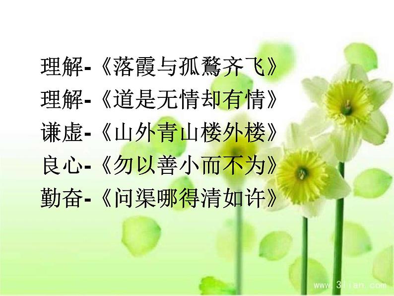 人教版高中语文选修--文章写作与修改《第一节 写出自己的个性》课件第5页