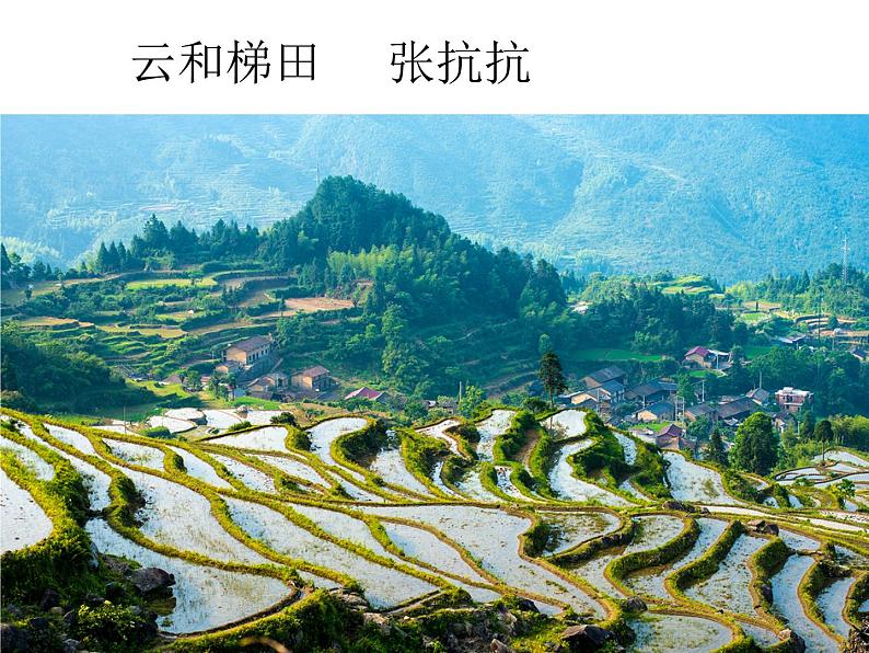 人教版高中语文选修--文章写作与修改《第一节 捕捉“动情点”》课件01