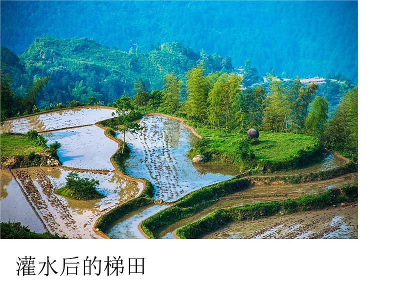 人教版高中语文选修--文章写作与修改《第一节 捕捉“动情点”》课件05