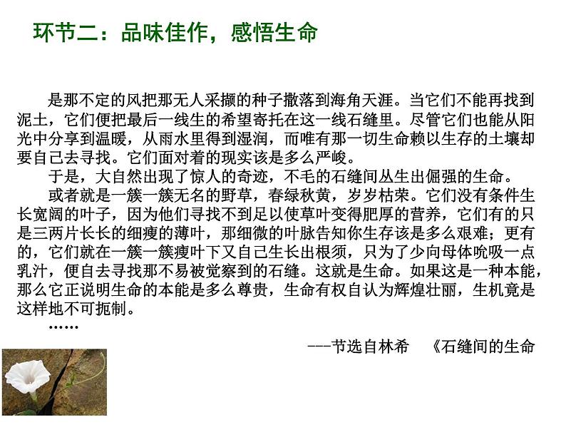 人教版高中语文选修--文章写作与修改《第二节 联想与想象》课件1第5页