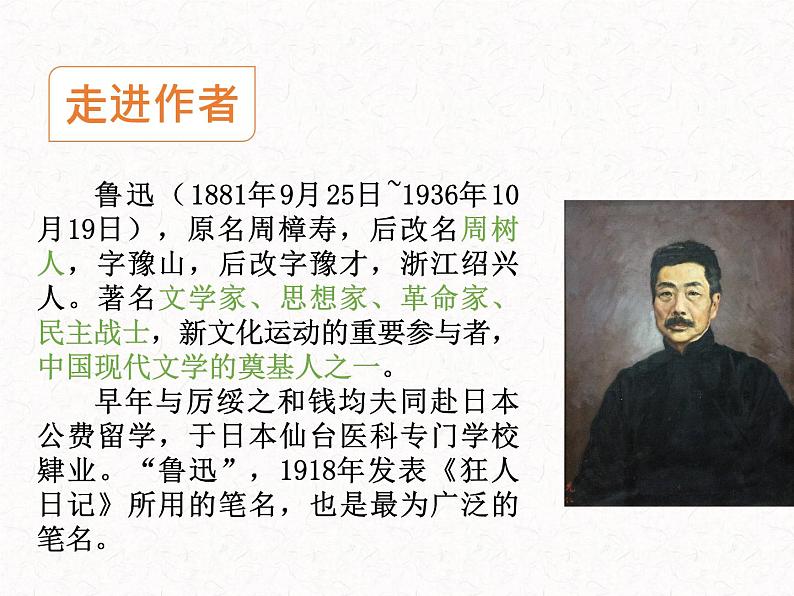 部编版高中语文选择性必修下册 教学课件_阿Q正传(节选)303