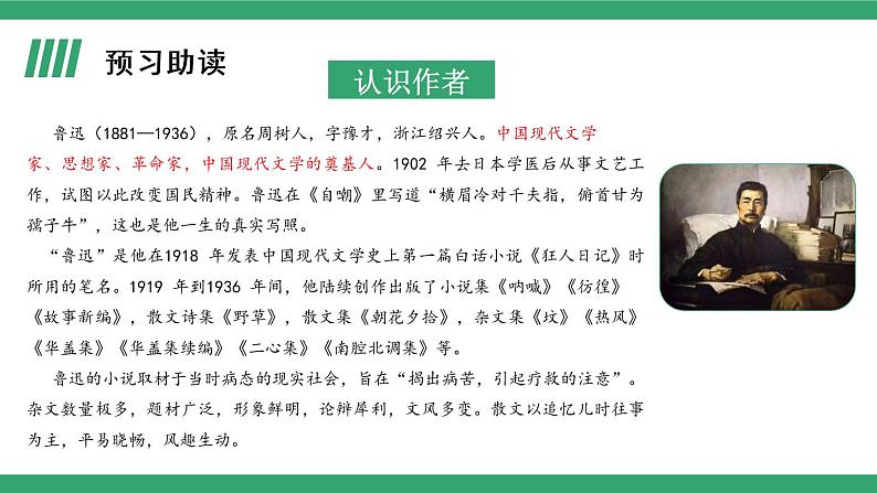 部编版高中语文选择性必修下册 教学课件_阿Q正传(节选)(第1课时)03