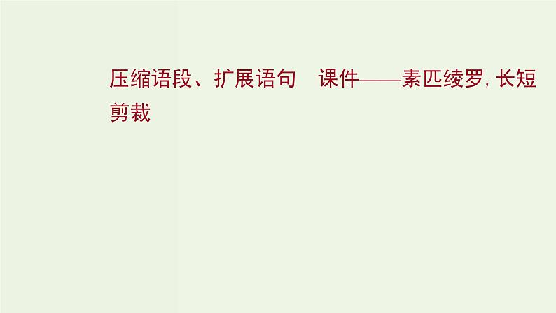 高考语文一轮复习专题10语言文字运用第13讲压缩语段扩展语句课件第1页