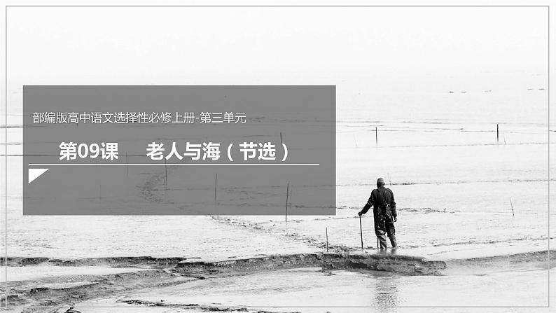9《老人与海(节选)》(课件)(部编版选择性必修上册)第1页