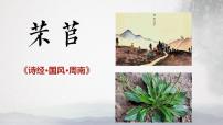 高中语文人教统编版必修 上册第二单元6 （芣苢 插秧歌）6.1 芣苢教学ppt课件