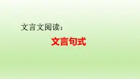 2023届高考语文一轮复习：文言文阅读——文言句式 课件29张