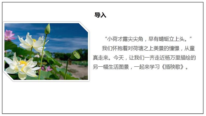 人教高中语文必修上 6.2《插秧歌》(课件)-【新教材精创】2020-2021学年(共36张)第2页