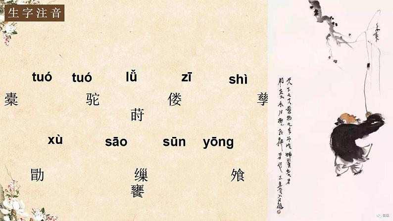 11.《种树郭橐驼传》课件32张 2021-2022学年统编版高中语文选择性必修下册第2页