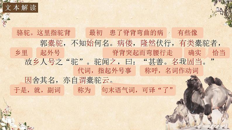 11.《种树郭橐驼传》课件32张 2021-2022学年统编版高中语文选择性必修下册第8页