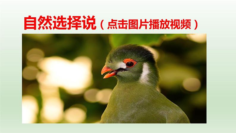 高中语文选择性必修下 《自然选择的证明》(教学课件)同步教学(02