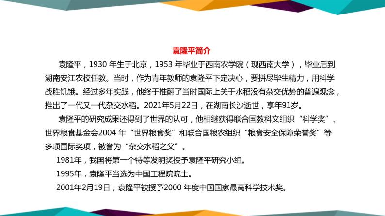 高中语文必修上册 4《 喜看稻菽千重浪—记首届国家最高科技奖获得者袁隆平 》课件PPT06