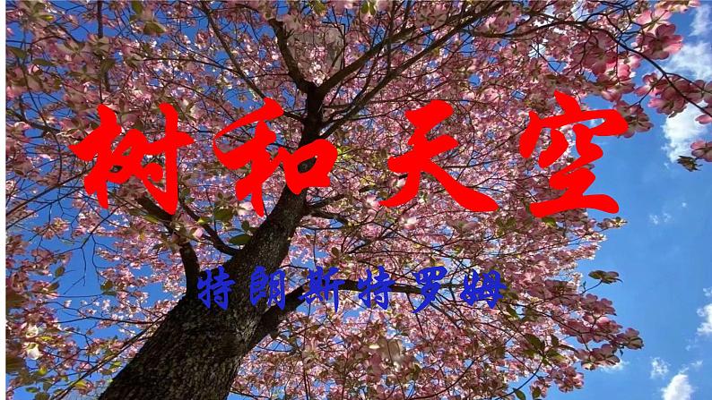 2022-2023学年统编版高中语文选择性必修中册13.4《树和天空》课件15张01
