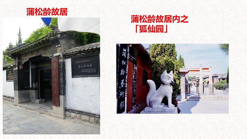 2021-2022学年统编版高中语文必修下册14.1《促织》课件第3页