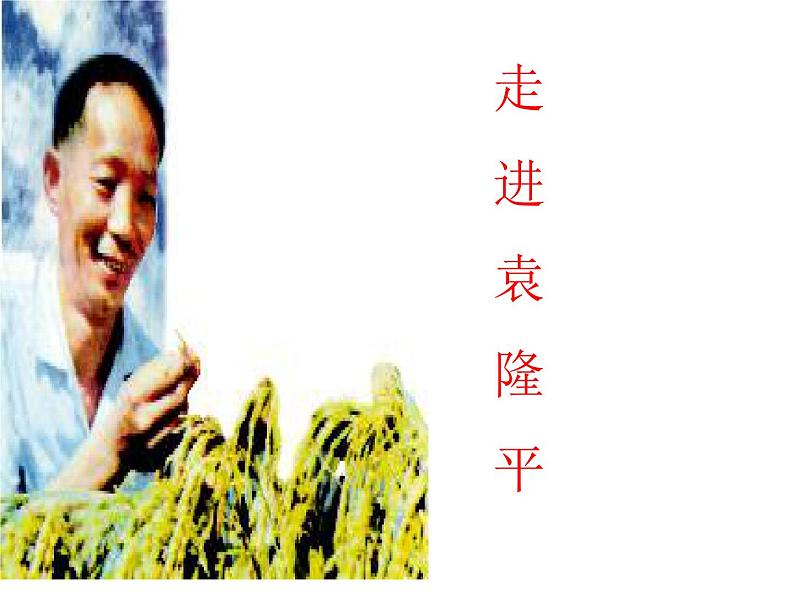 2.4.1喜看稻菽千重浪——统编版(2019)高中语文必修上册课件第3页