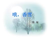 高中语文人教统编版必修 上册第一单元3 （百合花 *哦，香雪）3.2* 哦，香雪集体备课课件ppt