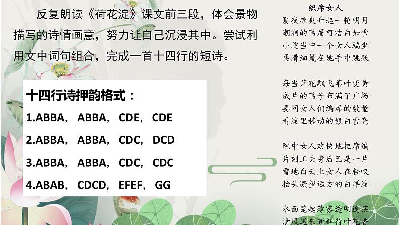 统编版选择性必修中册 8.1 荷花淀 课件第5页