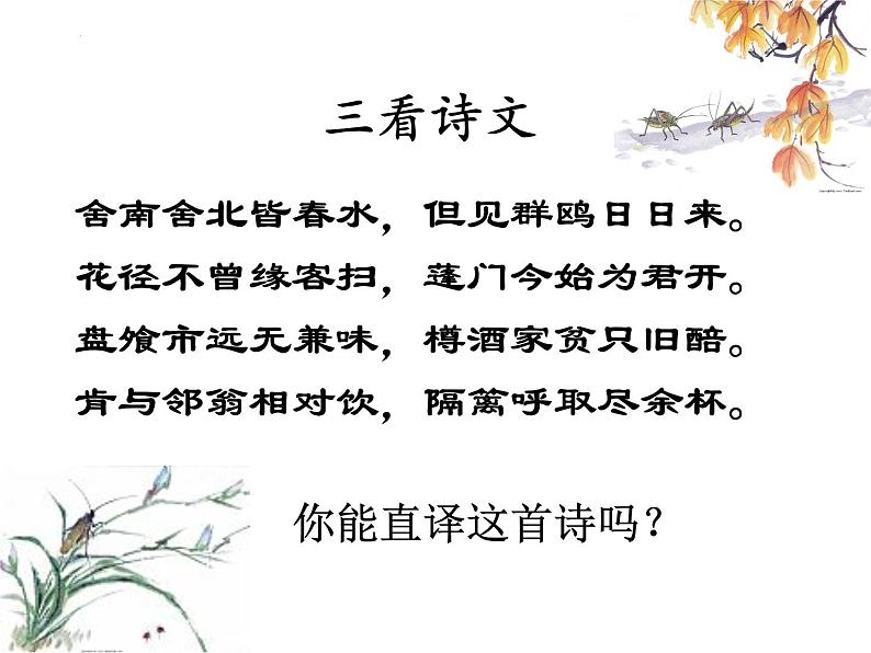 2021-2022学年统编版高中语文选择性必修下册古诗词诵读《客至》课件第6页