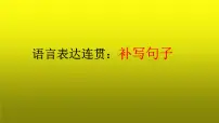 2023届高考语文复习：语言表达连贯之补写句子 课件