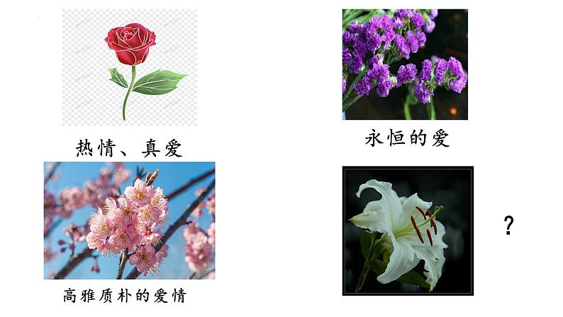 3.1《百合花》课件2022-2023学年统编版高中语文必修上册第1页