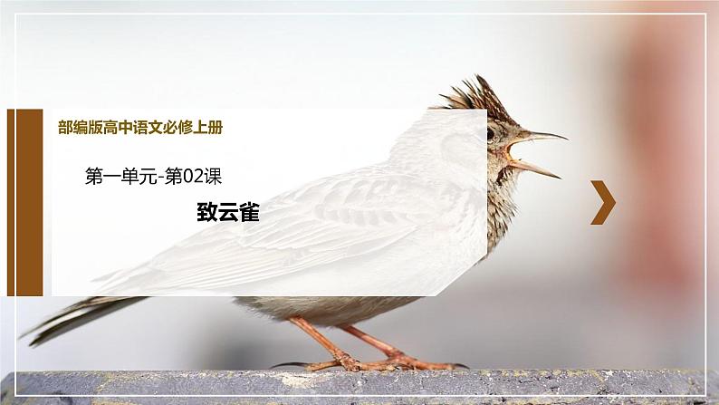 2.4《致云雀》课件 统编版高中语文必修上册第1页