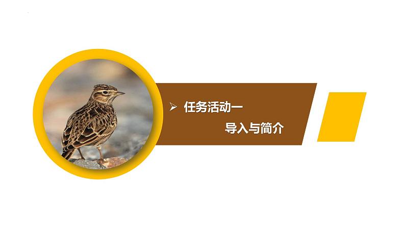 2.4《致云雀》课件 统编版高中语文必修上册第3页