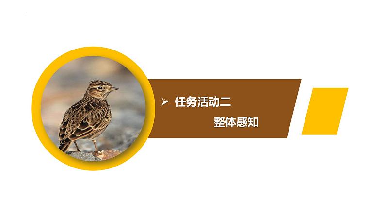 2.4《致云雀》课件 统编版高中语文必修上册第7页
