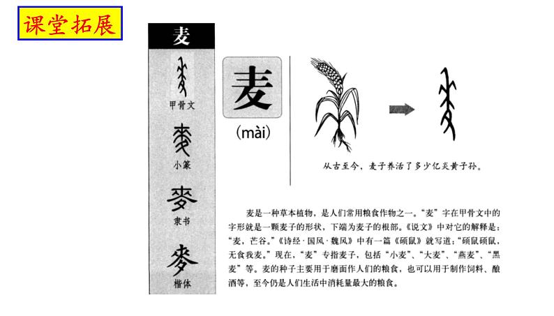 6.2《文氏外孙入村收麦》课件 统编版高中语文必修上册第1页