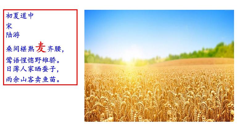 6.2《文氏外孙入村收麦》课件 统编版高中语文必修上册第4页