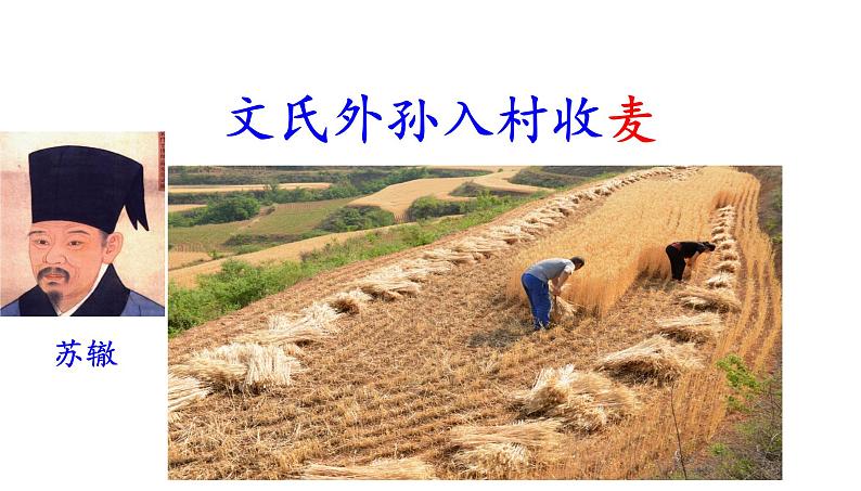 6.2《文氏外孙入村收麦》课件 统编版高中语文必修上册第5页