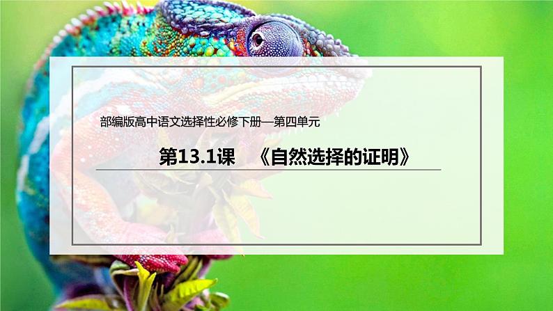 人教统编版语文13.1 《自然选择的证明》(课件)03