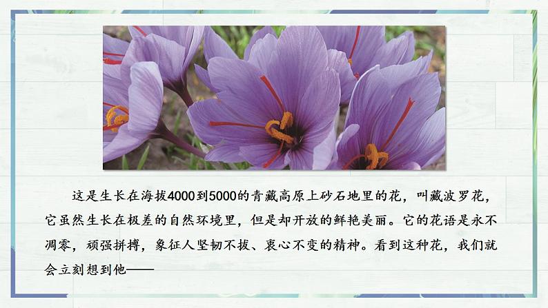 《“探界者”钟扬》(课件)-高一语文同步精品课堂(统编版必修上册)第2页
