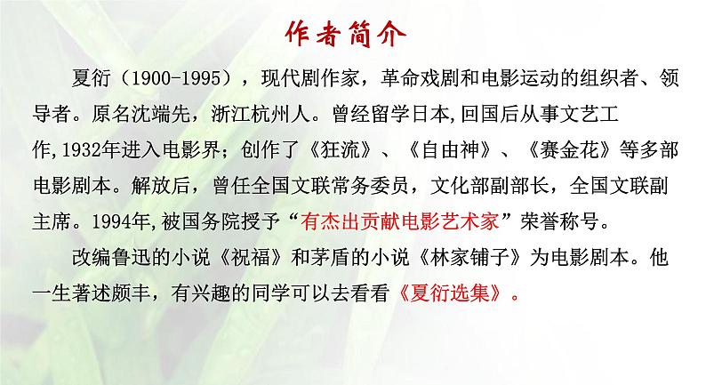 统编版选择性必修中册 7《包身工》 课件第4页