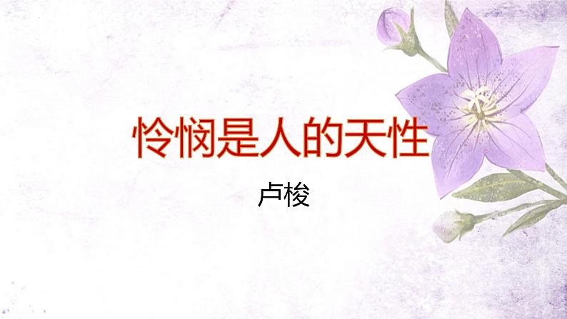 2022-2023学年统编版高中语文选择性必修中册4.2《怜悯是人的天性》课件第1页