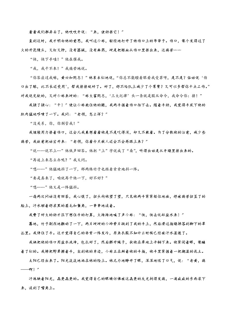 【高考真题解密】高考语文真题题源——专题10《文学类文本阅读之分析作品的体裁特征和表现手法》母题解密(全国通用)(解析卷)第2页