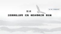 高中语文人教统编版必修 上册第一单元2 （立在地球边上放号 红烛 *峨日朵雪峰之侧 *致云雀）2.4* 致云雀课文配套课件ppt