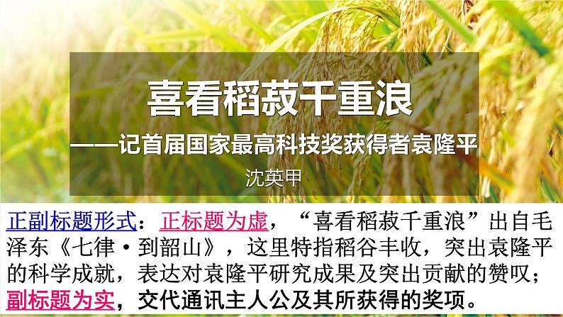 4《喜看稻菽千重浪》《心有一团火,温暖众人心》课件2022-2023学年统编版高中语文必修上册02